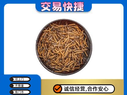 百色市高价回收散虫草
